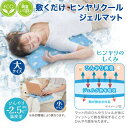 エコクールジェルマット 大・小 熱中症対策 休憩 節電 エコ 【睡眠 快適 クールダウン アウトドア 夏 持ち運び 結露しにくい マット シート 冷たい 熱を吸収 ひんやり 冷感グッズ 暑さ対策 仕事 休憩】
