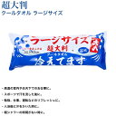 超大判 クールタオル 20枚入り (スポーツ アウトドア レジャー 海 海水浴 プール ひんやり 涼しい)
