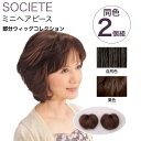 部分かつら ソシエ ミニヘアピース (同色2個組) TSS-10 (ヘアピース 部分ピース かつら 人毛 つむじ)