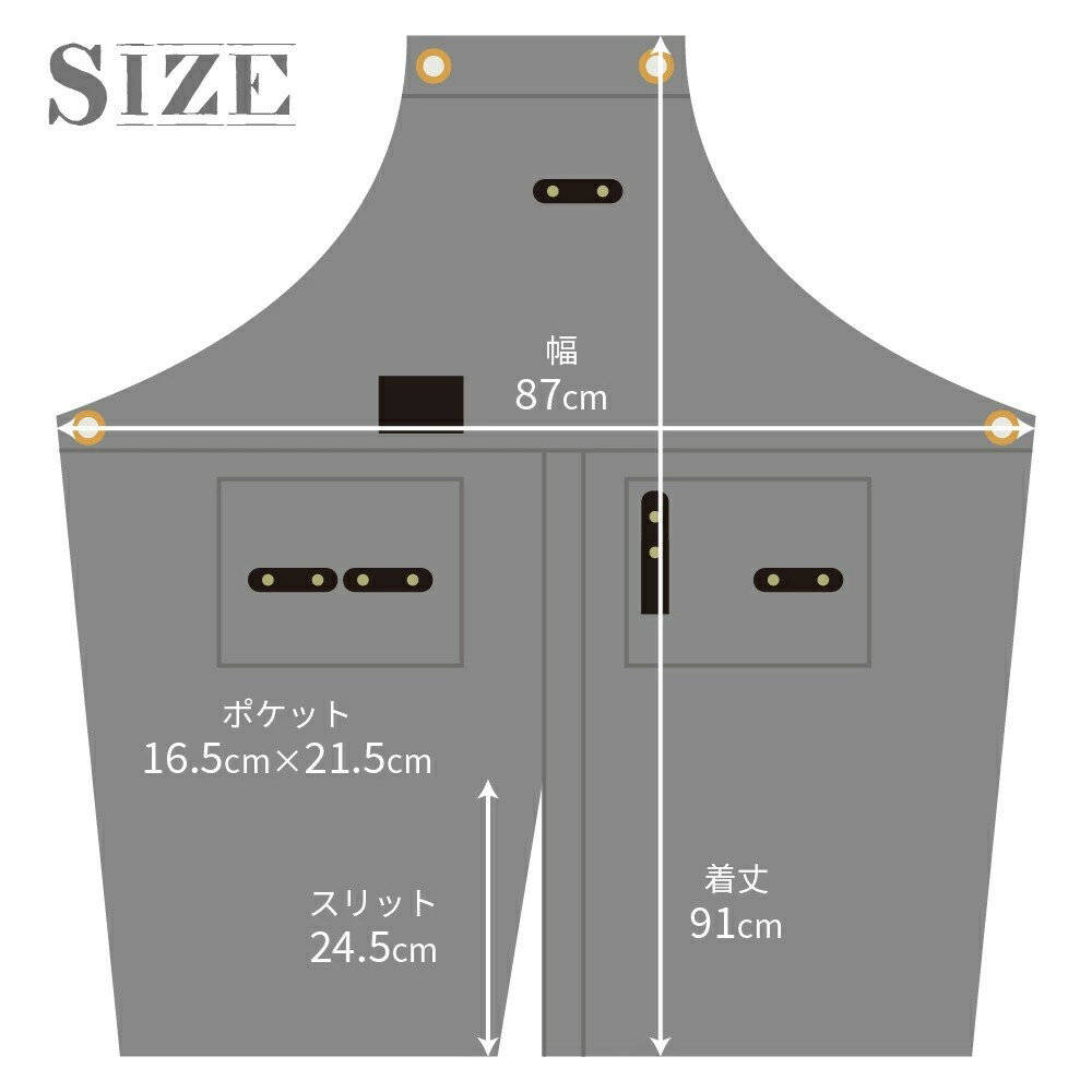 �ȥꥳ �ǥ˥२�ץ��� �֥롼/���졼 ���ƻ� ���ƻե��ץ��� ������ץ��� ��� �˽�����