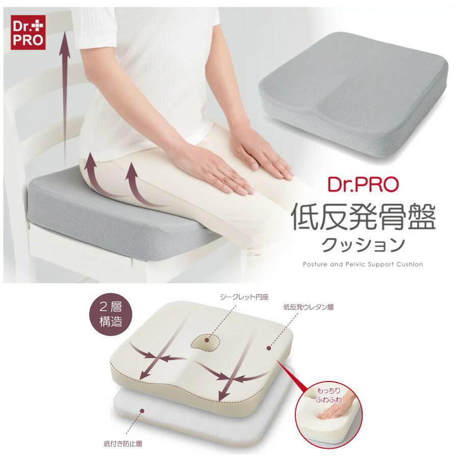 å Dr.PRO ȿȯץå (   ȿȯ  ž)