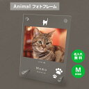 【名入れ無料】送料無料 フォトフレーム M ペット 猫 ねこ ネコ ペットグッズ 写真立て 写真入れ 写真たて 名入れ 名前入り 文字入れ 仏具 動物 フォトスタンド ペット用品 アクリル ギフト メモリアル フォト フレーム ペットメモリアル メモリアルグッズ 誕生日 記念日