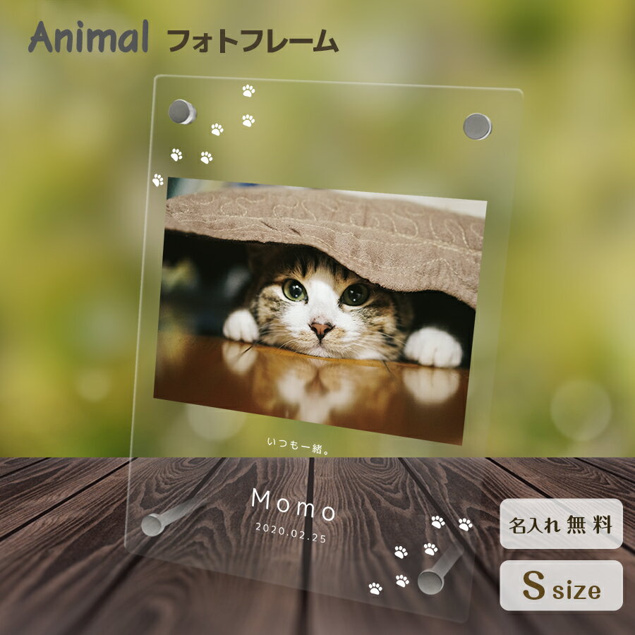 cat005-001.jpg cat005-001.jpg