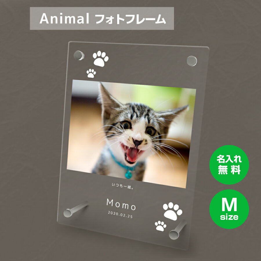 送料無料 フォトフレーム M ペット 猫 ねこ ネコ ペットグッズ 写真立て 写真入れ 写真たて 名入れ 名前入り 文字入れ 仏具 動物 フォトスタンド ペット用品 アクリル ギフト メモリアル フォト フレーム ペットメモリアル メモリアルグッズ 誕生日 記念日