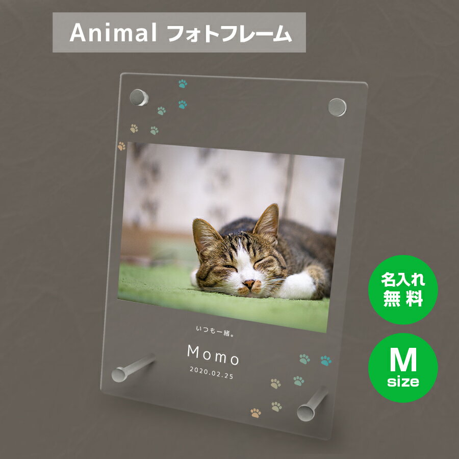 【名入れ無料】送料無料 フォトフレーム M ペット 猫 ねこ ネコ ペットグッズ 写真立て 写真入れ 写真たて 名入れ 名前入り 文字入れ ..