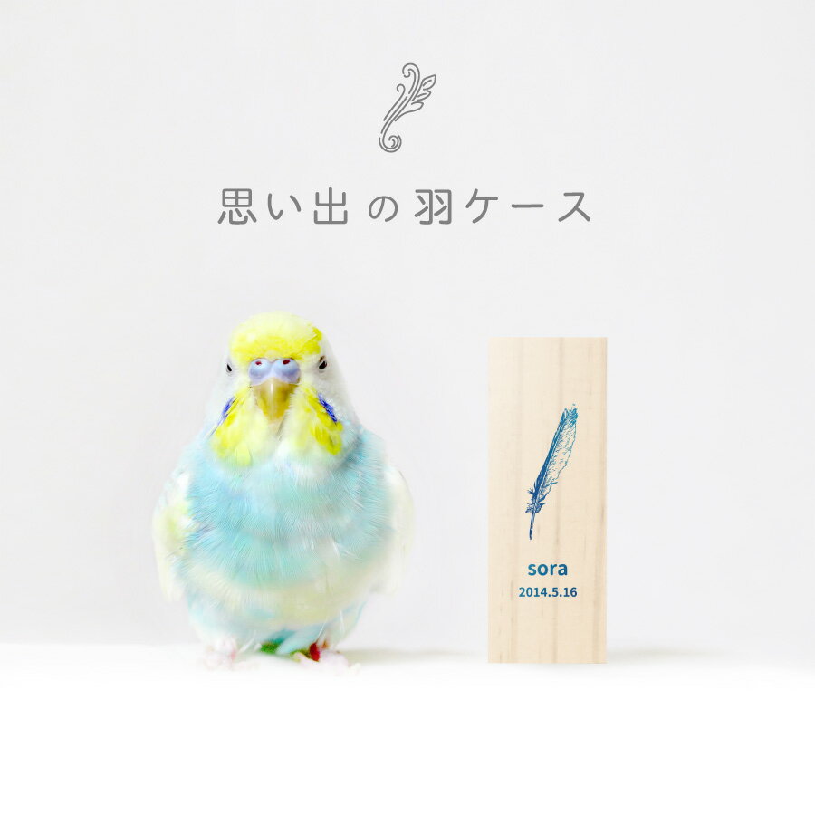 【 名入れ無料 メール便 送料無料 】 鳥の羽根ケース グラデーション 羽根 はね 鳥 とり インコ ヨウム アヒル ブンチョウ 九官鳥 オウム フクロウ カナリア メモリアル ペット お名前入り オリジナル 名入れ 保管 お守り 名前 かわいい プレゼント 箱 ケース 動物 思い出