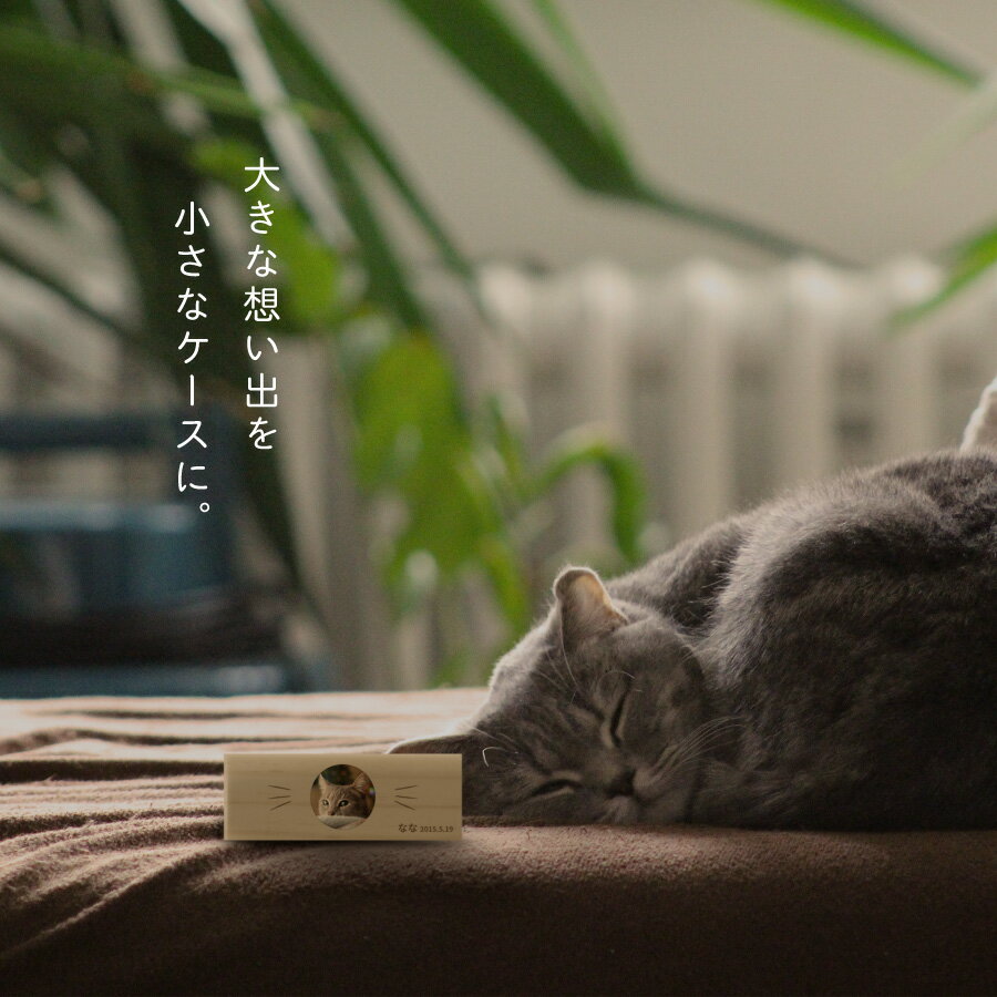 メール便送料 名入れ無料 オシャレな猫のひげケース 猫のひげケース 写真 ヒゲ 髭 ネコ 祝開店 大放出セール開催中 ねこ メモリアル ペット お名前入り オリジナル 名入れ お守り 松製 保管 ギフト 猫のひげ入れ 記念品 プレゼント 動物 かわいい 毛入れ 名前 思い出