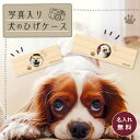 【名入れ無料】 犬のひげ ケース 日本製 木製 名入れ 写真入り 名前入り 松 箱 いぬのひげ 犬の髭 ボックス コンパクト 保管 入れ物 ペット 記念品 文字入れ ギフト プレゼント ラッピング 贈答品 遺品 お祝い 内祝い 誕生日 記念日 クリスマス お歳暮 送料無料