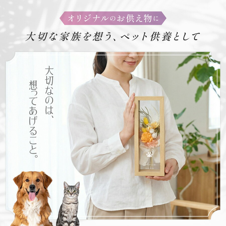 �ڥåȶ��� 45����Υ��륨�å� �������٤� �������� �ץꥶ���֥ɥե� �ե졼�� ����ץ� ���饹 ���� ̾���� ��å��������� ���ե� �� ����ƥꥢ ̿�� ʩ�� ʩ�� ʩ�� ������ ���� ���� �ץ쥼��� �� ���վ� ξ�� �֡��� ��« ������� ��ǰ��
