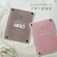 【名入れ無料】 子育て感謝状 かすみ草 結婚式 両親 プレゼント フォトフレーム 名...