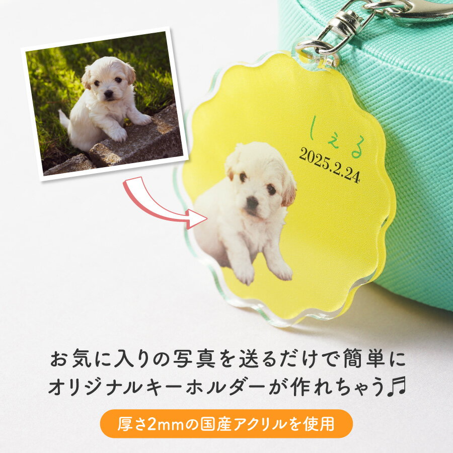 【校正無料】データ確認できる 写真入り ポップ...の紹介画像3