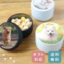 【名入れ無料】 ペット おやつ缶 写真入り 名入れ ケース 名前入り 箱 いぬ ねこ イヌ ネコ ネーム入り おやつ入れ ボックス トリーツケース アクセサリー...