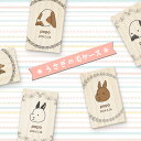 【 名入れ無料 メール便 送料無料 】 うさぎの毛ケース リース 顔 イラスト 毛 ウサギ うさぎ 兎 メモリアル ペット お名前入り オリジナル 名入れ 保管...
