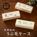 【名入れ無料】うぶ毛ケース 産毛ケース 小人 こびと 産毛 赤ちゃん 髪の毛 保存 うぶ毛 うぶげ 入れ 担毛 生毛 胎毛 松 オリジナル 名入れ 名入り 名前...