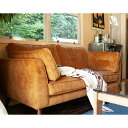 DULTON ダルトン VELVET SOFA 2 SEATER ベルベット ソファ 2 シータ 高級感 男前 クール おしゃれ リビング こだわり 存在感