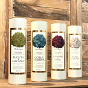DULTON ダルトン AROMA DIFFUSER HYDRANGEA アロマディフューザー ハイドランジア 華やか 癒し ギフト 玄関 リビング 花 おしゃれ 香り