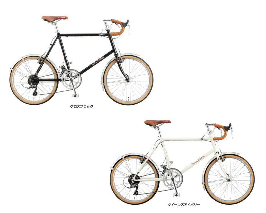 RALEIGH(ラレー)RSP"RSWSpecial"2021モデル