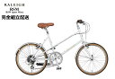 通常便よりお安くお届け【法人事業所(お勤め先)お届け限定送料】RALEIGH(ラレー) RSM