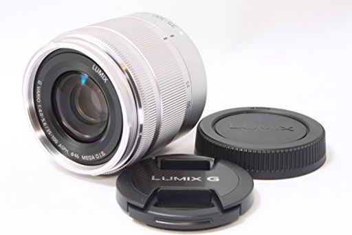 Other - パナソニック(Panasonic)望遠ズームレンズマイクロフォーサーズ用ルミックスGVARIO35-100mm/F4.0-5.6ASPH./MEGAO.I.S.シルバーH-FS35100-S