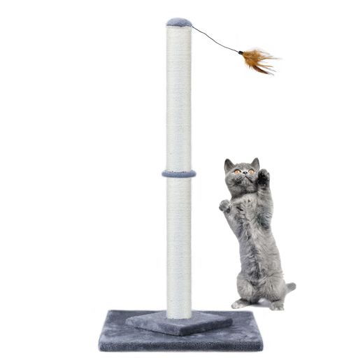 Hutpet34int��ǭ�Ļ��������¸��߷׽ſ��������ꤷ�Ʒ����ɻ߼���ǭ�ѥ����������Ļ��챩�����(����)