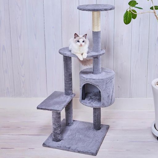 スクラッチ 飼い主さんと目があいやすい、高すぎず低すぎないサイズ。いつもの居場所に。