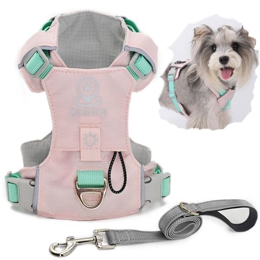 Mirupochi(�ߥ�ݥå�)���ϡ��ͥ��淿���������꡼�ɼ��إڥåȤ�����쾮�������淿���󥤥�ƹ�إ꡼�ɥ��åȥ��եȤĤ��䤹�����餫��ȴ���ʤ��դ�����Ĵ����...