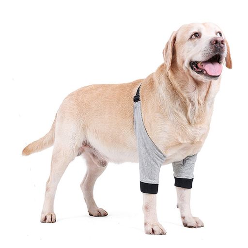 犬用リハビリ用品犬包帯犬用犬用リハビリ犬靴下犬用関節プロテクター膝サポーター犬介護犬ペットサポーター犬ソックス柔らかいペット用レッグウォーマー犬の介護用品小型犬中型大型…