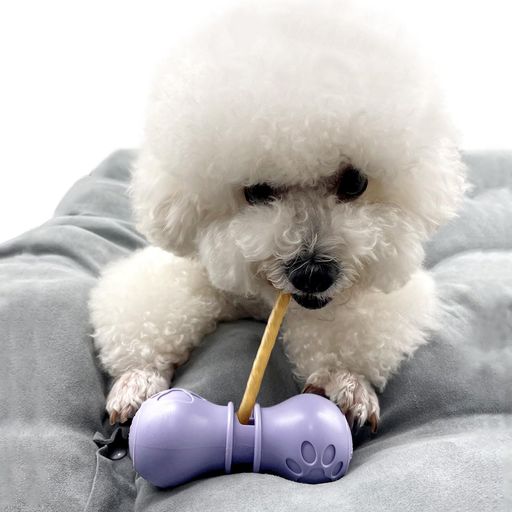 BoniVetBullyStickHolder犬用ガムスタンドいじめスティックおやつホルダー犬用噛むホルダー-小さいサイズ