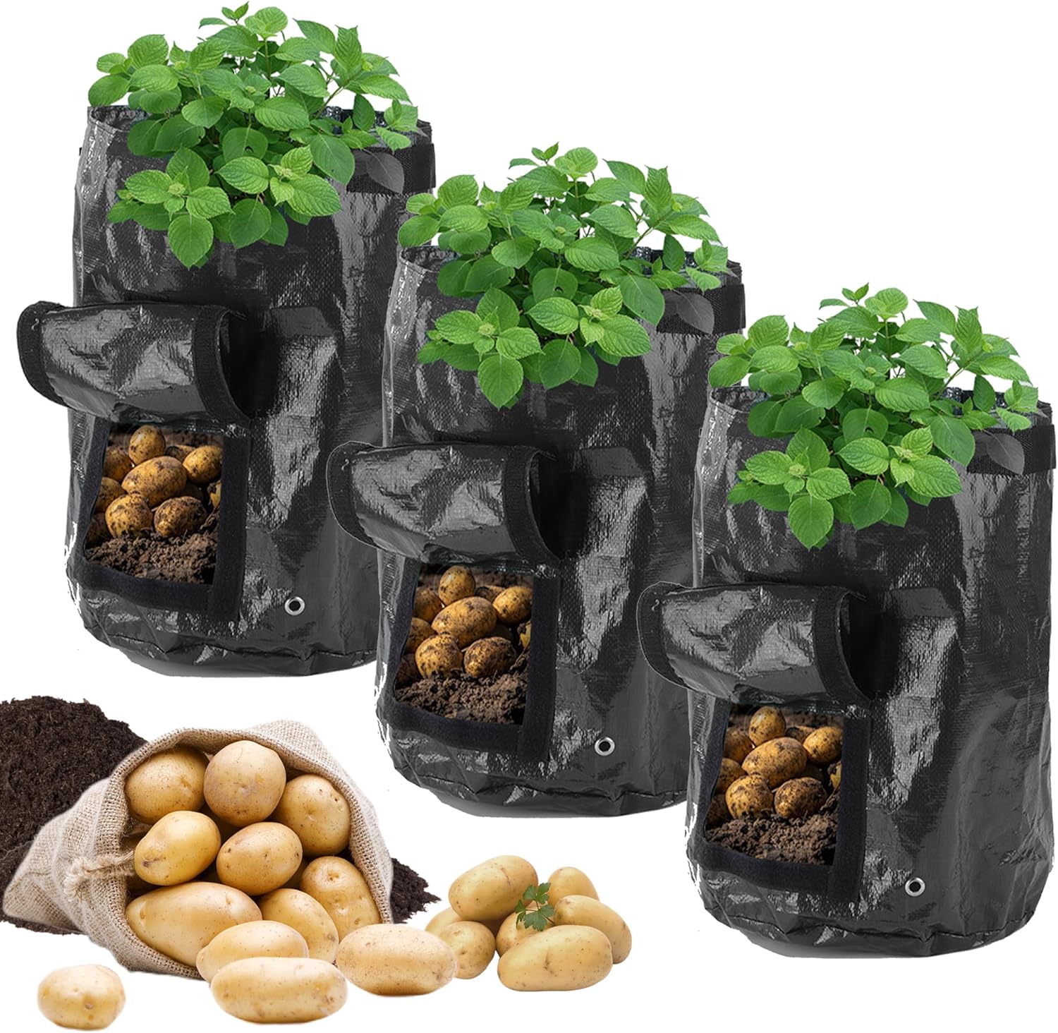 Rakuten - 6個セット 栽培袋（35x45cm） 野菜栽培バッグ 10ガロン プランター PE素材 植え袋 植木鉢 窓 ハンドル付き ガーデンベランダ 園芸 植物育成 野菜栽培 発育促進 野菜用 家庭用 じゃがいも 野菜 植木ポット 栽培バッグ