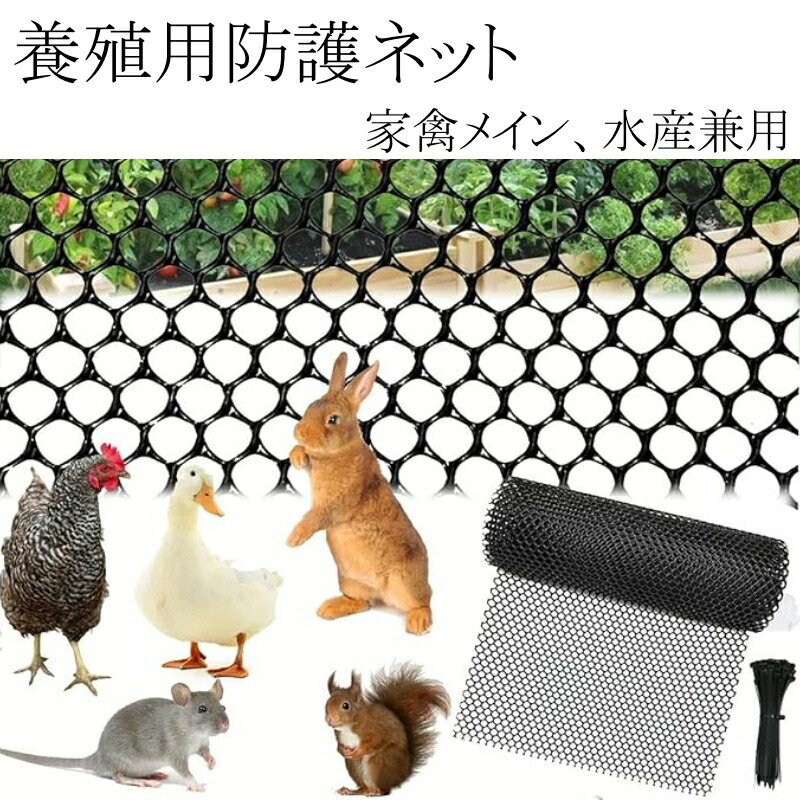 Rakuten - プラスチック養殖ネット 平網 メッシュネット 養鶏ネット 魚池フェンス 防護ネット 園芸フェンス 多用途 カット可能 軽量 耐久性抜群 通気性良好 多サイズ展開 8mmメッシュサイズ