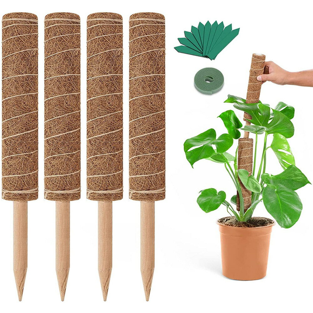 4本セット 園芸 モンステラ ポトス 固定支柱 観葉植物 支柱 棒 つる性植物 誘引用 ガーデン 支え棒 植物サポート ガーデニング用品 フェイクモススティック 登り棒 盆栽補助 屋内屋外 ガーデンポール 鉢植え用 支え支柱 インテリアグリーン固定 ロープ付き 園芸アクセサリー