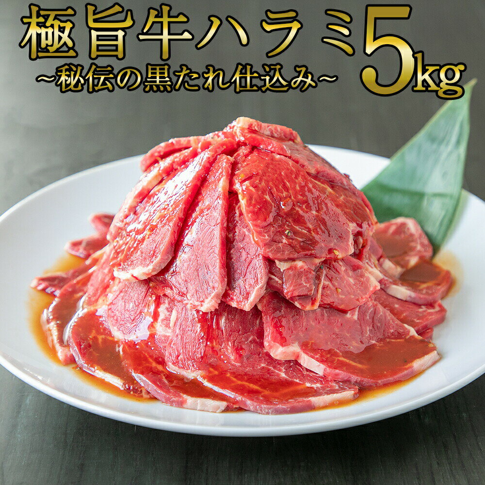 牛ハラミ [ 極旨牛ハラミ 秘伝の黒たれ仕込み 5kg ] 焼肉 牛肉 サガリ ハラミ ハラミ丼 ステーキ ギフ..