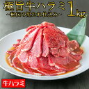 【送料無料】 [ 極旨牛ハラミ 秘伝の黒たれ仕込み 1kg ] ≪コロナに負けるな！ 牛肉で免疫力アップ ！≫ 焼肉 牛肉 ハラミ ハラミ丼 ステーキ ギフト プレゼント 贈答 大盛 内祝 コロナ おつまみ 訳あり 母の日 父の日 BBQ おためし