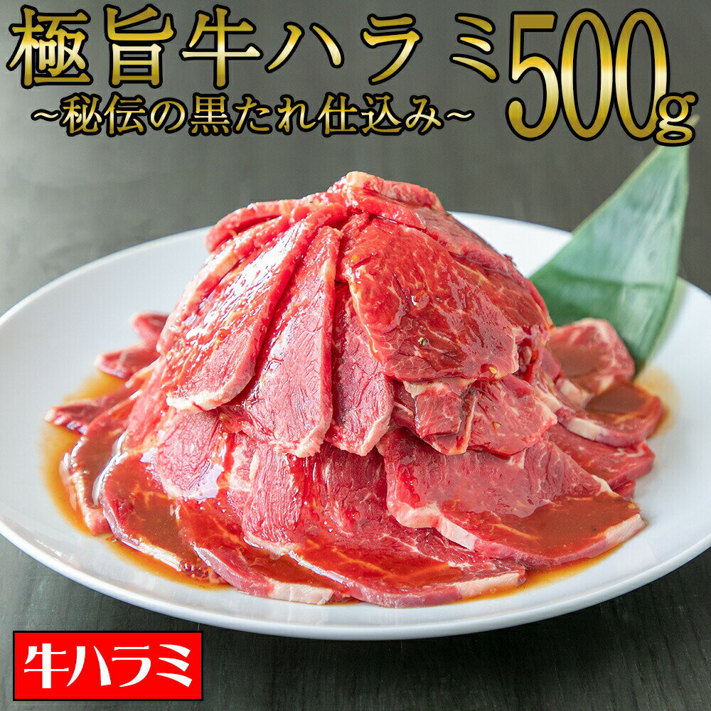 牛ハラミ [ 極旨牛ハラミ 秘伝の黒たれ仕込み 500g ] 焼肉 牛肉 サガリ ハラミ ハラミ丼 ステーキ ギフ..