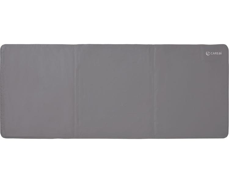 CAREai　スタンダードシリーズ　つながるモデル / ふむふむセンサーセット [ハカルプラス]