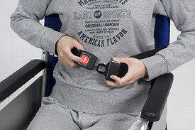 �ְػҥ����ȥ٥�ȡ������Хå��륿����/ 4017[ ������� �ü���� ]