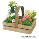 ●【送料無料】ガーデンボックス ...