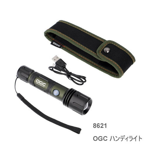 amon エーモン 8621 OGC ハンディライト