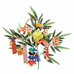 ☆ARTEC 七夕個人セット ATC1570