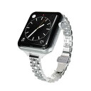 miak JUBILEE METAL BAND for Apple Watch 45/44/42mm Vo[ SJEMA-W4244SL