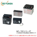 GS YUASA 産業用鉛蓄電池 PE12V12-F2 小型制御弁式鉛蓄電池 標準タイプ PEシリーズ 防災防犯システム エレベーター 電話交換機 非常表示灯 など