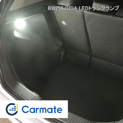 �M�K BW256 [LED ���� 6500K T10]