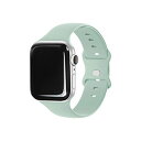 EGARDEN SILICONE BAND for Apple Watch 41/40/38mm Apple Watchpoh Cg~g EGD21773AWGR