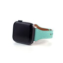 WEARPLANET Slim Line tbg{voh for Apple Watch 41/40/38mm Honeydew Mint WP23218AWMT