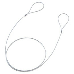 Wire Lock - ☆【10個セット】 サンワサプライ eセキュリティ(ワイヤー、1.0m・2.2mm) SLE-11W-1X10