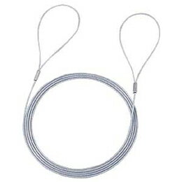 Wire Lock - ☆【10個セット】 サンワサプライ eセキュリティ(ワイヤー、1.5m・1.6mm) SLE-3W-15X10