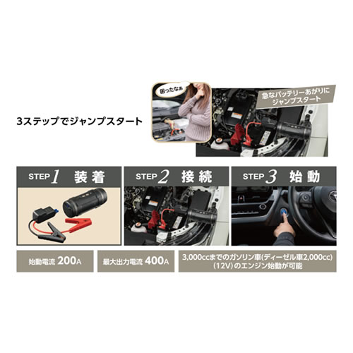 ���륹���� ����Ŵ������।���󥸥��ץ��������� LJP-9600 12V������ ������¿��ǽ����ñ�����ץ������ȡ�