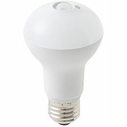 5ĥåȡ ᥿빩 ʹ󥵡LEDŵ  60W E26 LDR8NS60W-TMX5