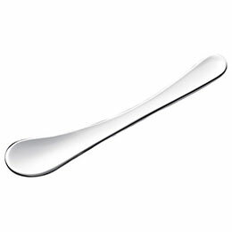 ☆磨き屋シンジケート アイスクリームスプーン 22557712