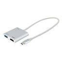 ☆ナカバヤシ PD対応Type-Cドッキングステーション シルバー UD-C03SL